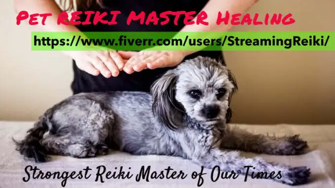Pet Master Reiki and Healing