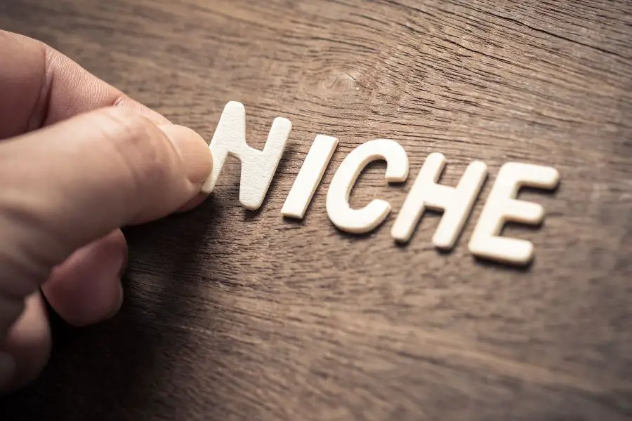Know Your Niche When it Comes to Info Products